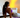 A woman doing a plank exercise on a mat at home.